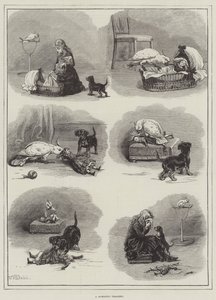 Une tragédie domestique - S.T. Dadd